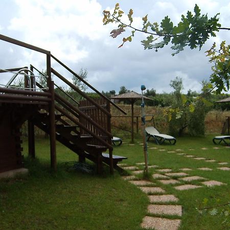 Agriturismo Il Forasacco Гроссето Экстерьер фото