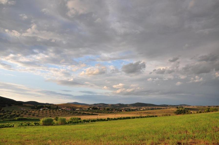 Agriturismo Il Forasacco Гроссето Экстерьер фото