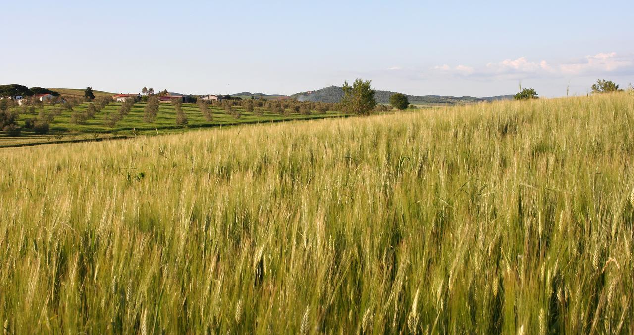 Agriturismo Il Forasacco Гроссето Экстерьер фото